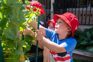 Kids Academy Erina gardening sustainability 3029