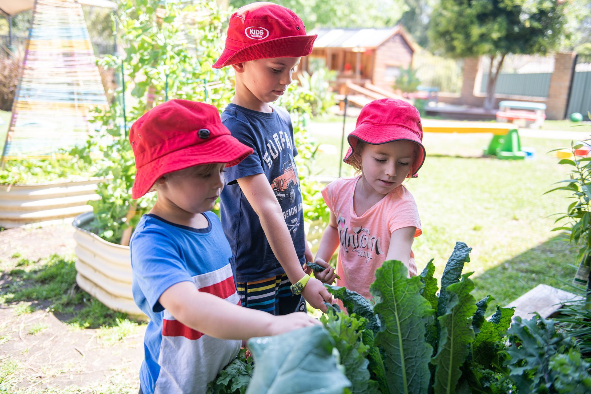 Kids-Academy-Erina-outdoor-gardening-Sustainability-3029